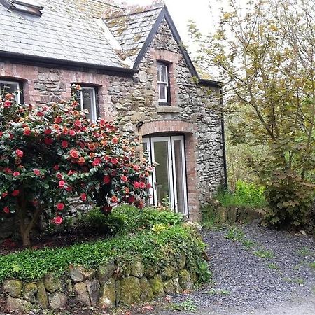 Cwmbrandy Cottage フィッシュガード エクステリア 写真