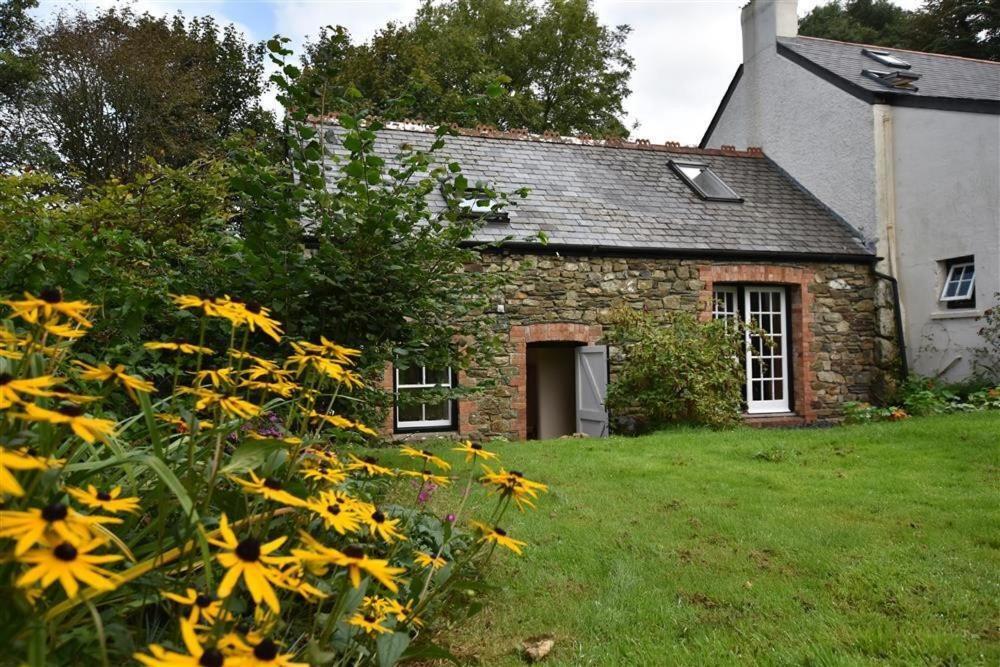 Cwmbrandy Cottage フィッシュガード エクステリア 写真