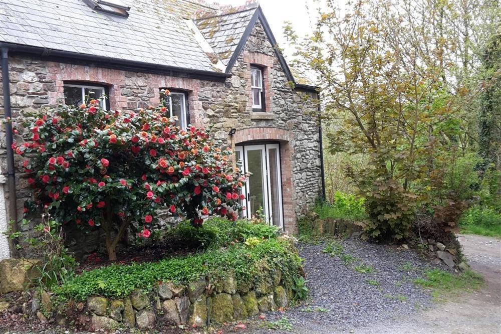 Cwmbrandy Cottage フィッシュガード エクステリア 写真